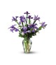L'arrangement d'iris dans un vase